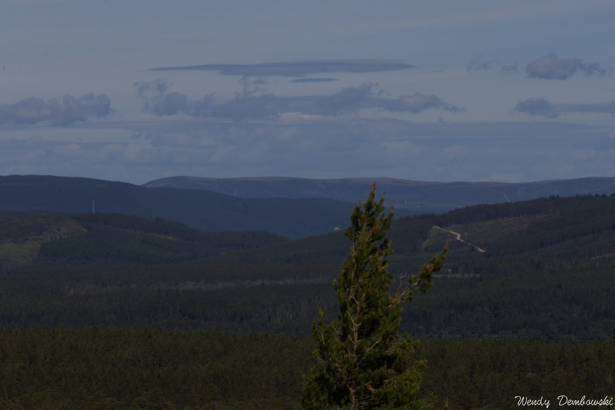 A view of mountains and clouds with the top of a nearby tree in the center right. 