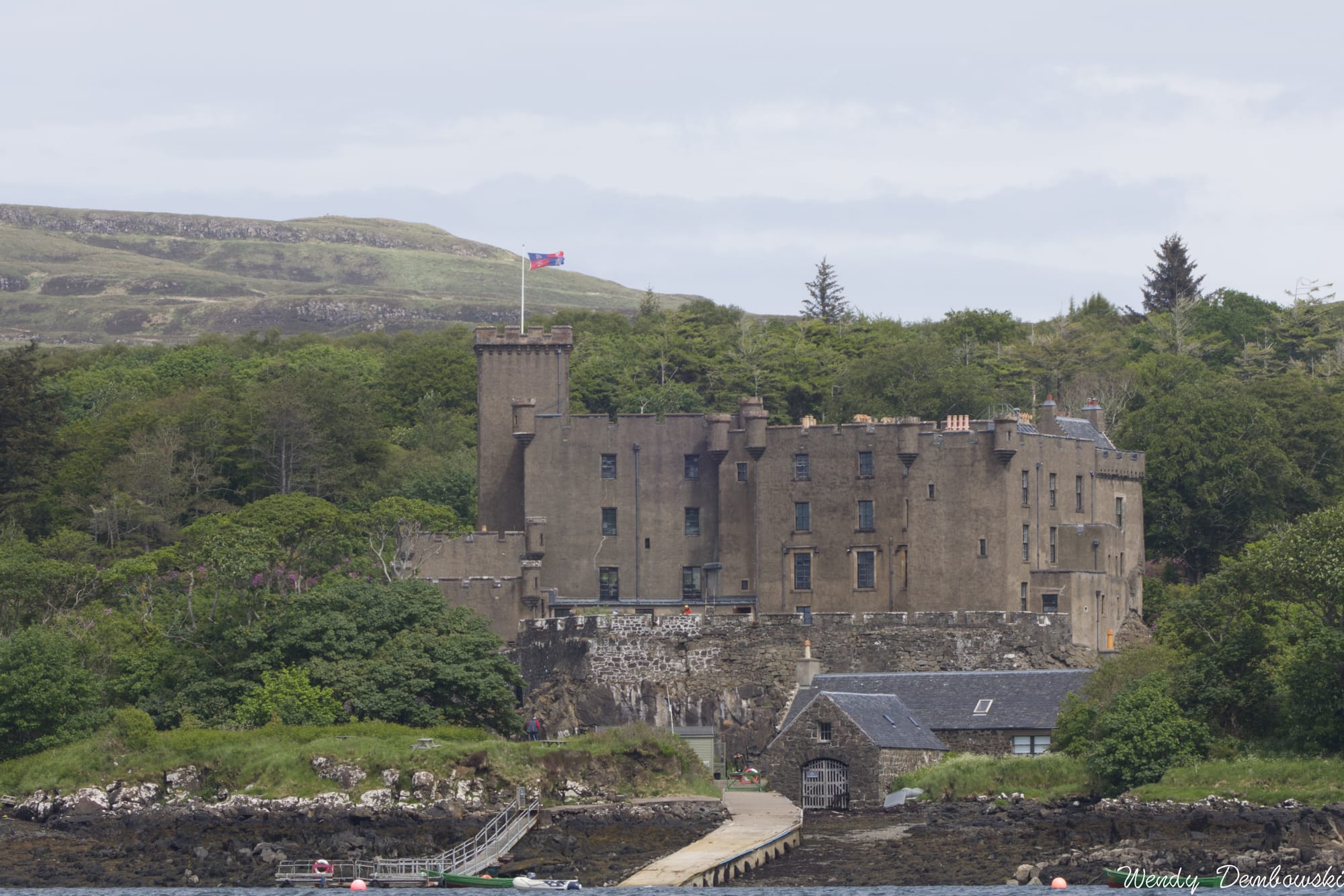 Seals on Skye: A Wild Day at Dunvegan Castle